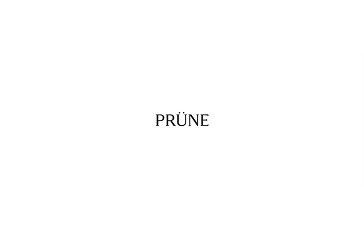 PRUNE